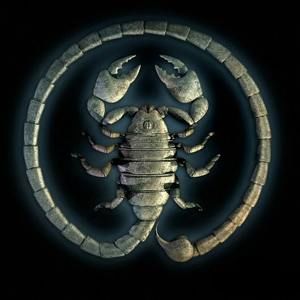 Meet your Posher, Tracey